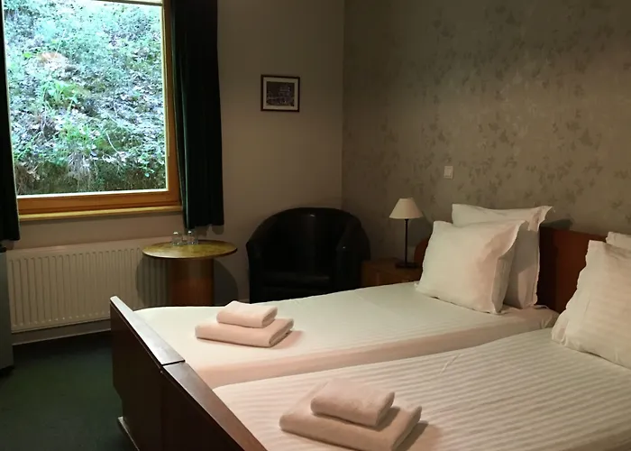 Hotel Dirbach Plage Otel Dirbach