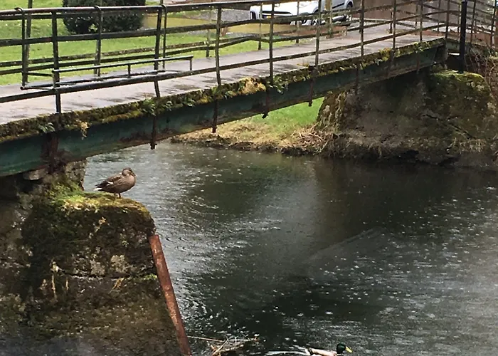 Otel Hotel Dirbach Plage Dirbach