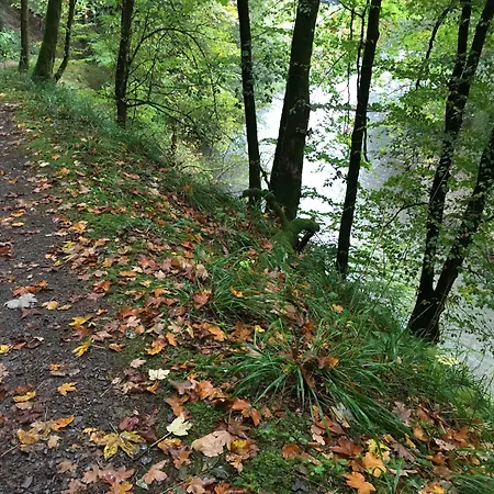 فندق Hotel Dirbach Plage