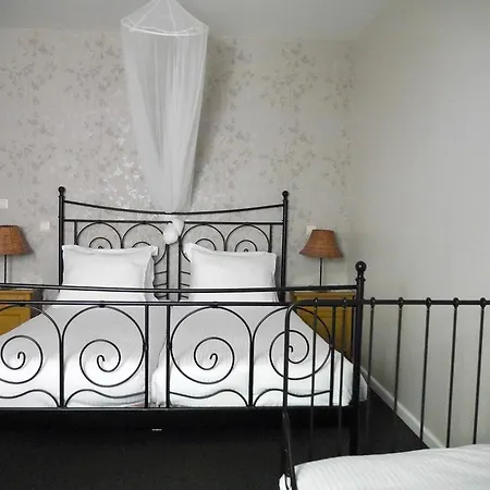 فندق Hotel Dirbach Plage 3*