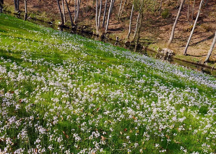 Hotel Hotel Dirbach Plage 3*