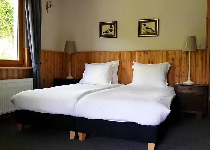 Hotel Dirbach Plage 3* Дирбах