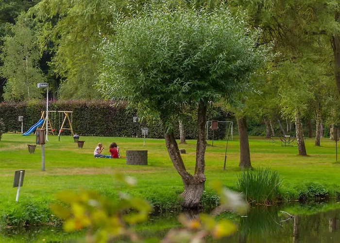 Hotel Hotel Dirbach Plage 3*